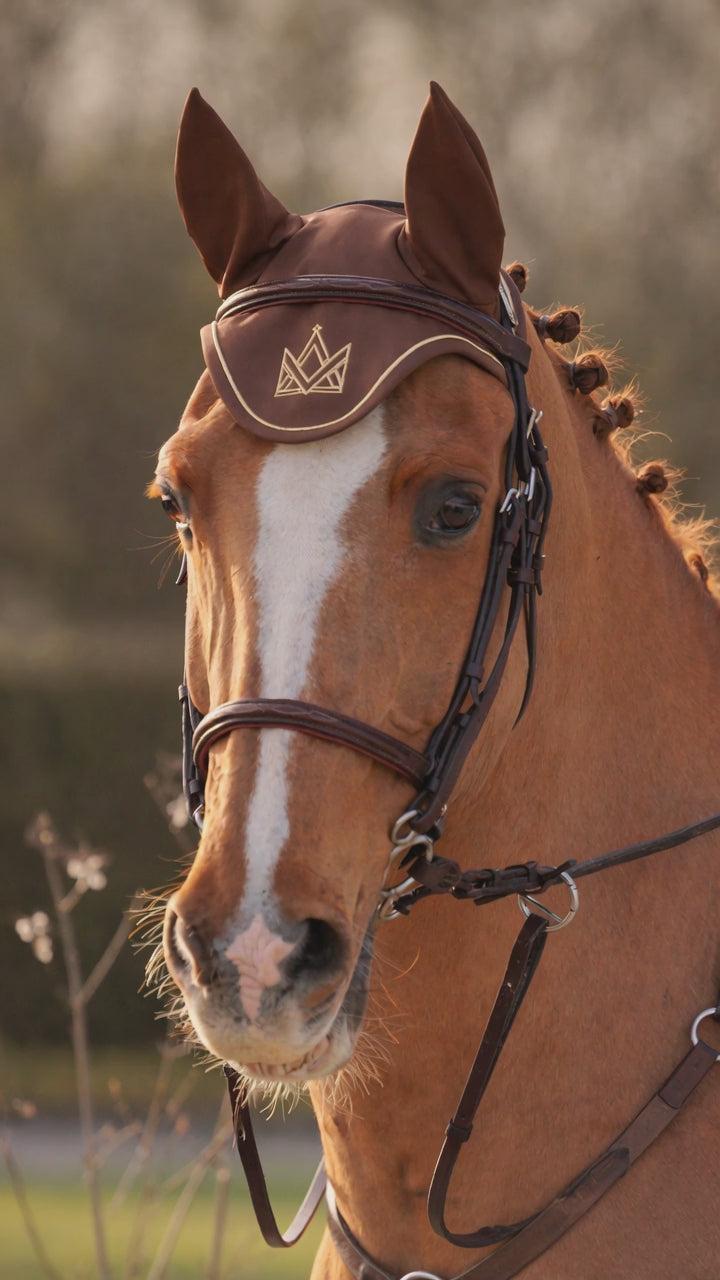 Earnet Brown
