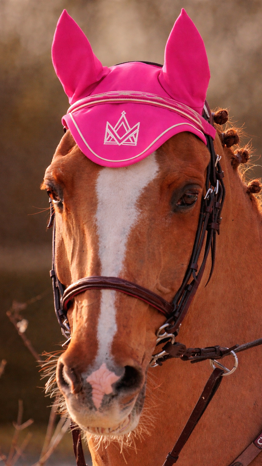Earnet Fuchsia