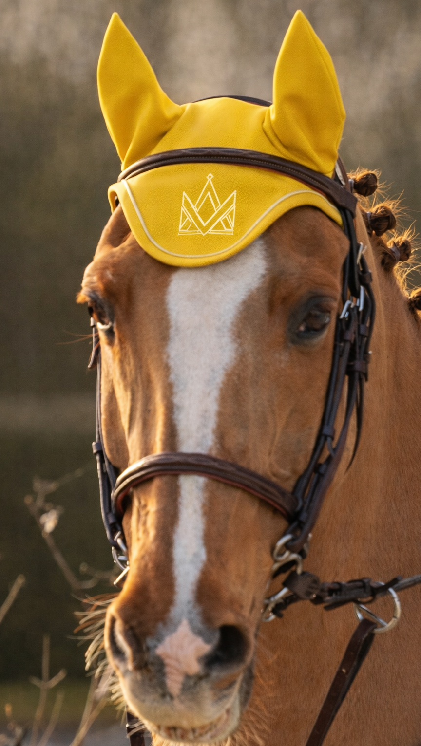 Earnet Yellow